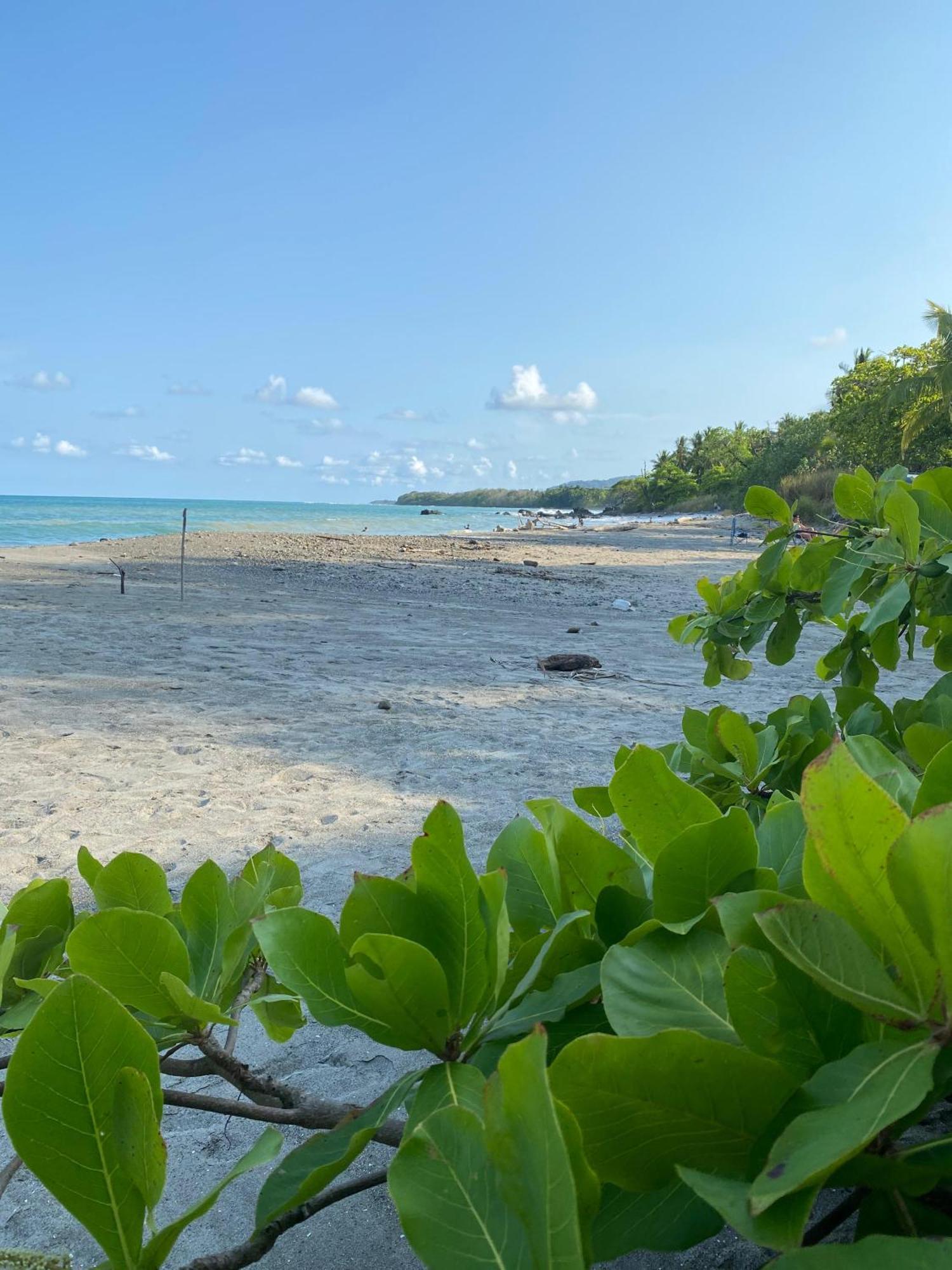 Villas Cabuya Beach & Jungle Экстерьер фото